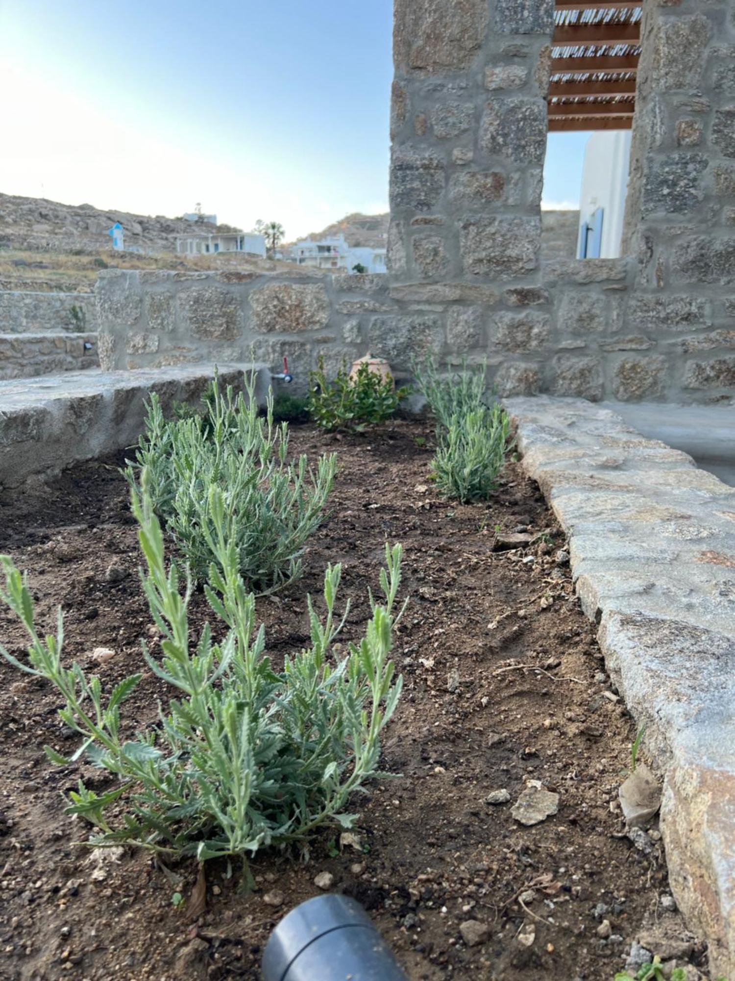 Miamis Villas Mykonos II Mykonos Town Kültér fotó